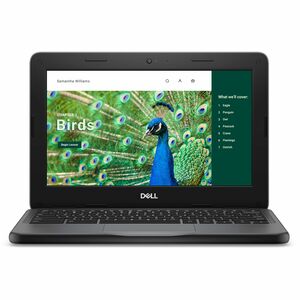 Dell Chromebook 3000 3120 11.6" Clamshell Chromebook - HD - 60 Hz - Intel N100 - 4 GB - 64 GB Flash Memory - English (US) Keyboard - Gray